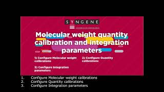 GeneTools 'How To' Videos: Molecular weight quantity calibration and integration parameters