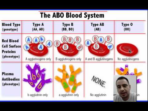 Blood Type Explanation - YouTube