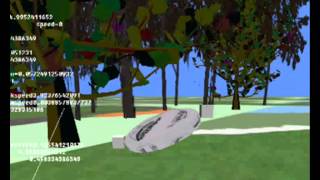 dark basic frisbee mini