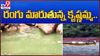 రంగు మారుతున్న కృష్ణమ్మ.. : Krishna River Colour Change - TV9