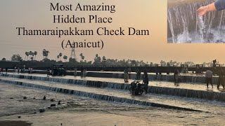 Thamaraipakkam Anaicut / Check Dam #checkdam #water#nature #naturelovers #kosasthalaiyarriver #river