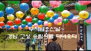 부처님오신날~경남 고성에 위치한 송림사를 다녀왔어요#고성송림사