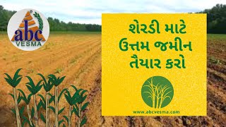 શેરડી માટે ઉત્તમ જમીન તૈયાર કરો | Prepare Suitable Soil for Sugarcane Crop