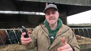 How Herdi by Herdwatch Is Revolutionising Livestock Management 🐄📊