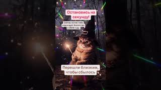 Какая сумма нужна тебе для счастья? Напиши в комментариях «Я верю!» — пусть Вселенная услышит!