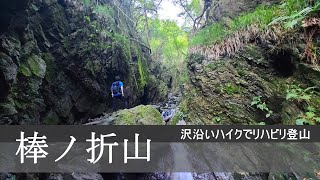 棒ノ折山：白谷沢コースの沢沿いハイクでまったり登山！2021【棒ノ嶺】