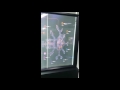 high transparency of oled transparent display