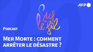 Comment arrêter le désastre écologique de la Mer Morte ?