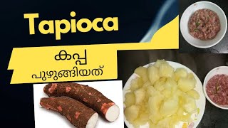 കപ്പ പുഴുങ്ങിയതും ചമ്മന്തിയും😋👌 Tapioca boiled (മരച്ചീനി)