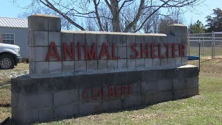 Second federal lawsuit filed against Colbert Animal Services