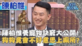 陳柏惟養寵物訣竅大公開！狗狗竟會不好意思上廁所？！20190827 曾國城 陳柏惟 Part3 EP110【全民星攻略】