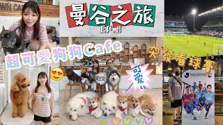 [曼谷之旅EP.8] 超可愛狗狗Cafe 🐶🐶 全部狗狗都又乖又可愛😍 突發看球賽⚽️ J.League 亞洲挑戰賽⚡️川崎前鋒vs札幌