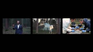 The Pump Jack Gang / Firestarter / The Wound (2022) Video Triptych