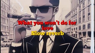 What You Won't Do for Love | slowed reverb | lyrics