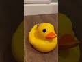 National Rubber Ducky Day! - January 13th