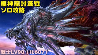 【FF14】極神龍討滅戦_ソロ戦士LV90（IL607）