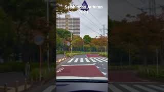 Seishincho Autumn 2021