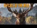 Killing bison with 7mm hunter call of the wield