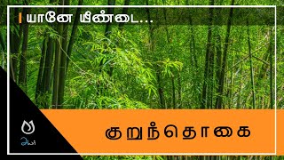 யானே யீண்டை | குறுந்தொகை | Kurunthogai | WhatsApp Status  | பாடல் 054 | சங்க இலக்கியம்