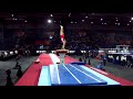 JIM Man Hin (HKG) - 2019 Artistic Worlds, Stuttgart (GER) - Qualifications Vault 1