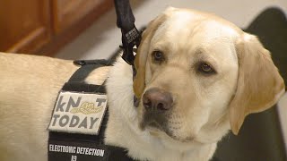 IMPD welcomes police dog Hunter