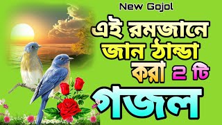 সেরা দুটি গজল   । জান ঠান্ডা করা গজল   । New gojol  Ghazal