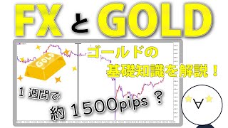 【ゴールドでトレード】FX初心者向けゴールドの基礎知識！トレードの注意点も！