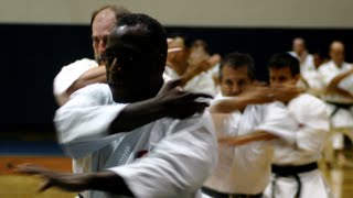 Kihon drills taught by Master Yaguchi 8th Dan