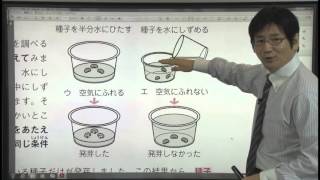 やさしくまるごと小学理科【動画82】植物の発芽と成長1