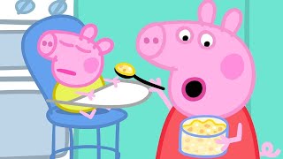 The Baby Piggy 🐷 @Peppa Pig - Official Channel  - Cartoons with Subtitles