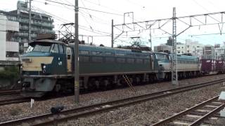 5074レ　EF66 103　　2077レ　EF66 33　ゼロロク　次位無動　EF66 123　サメ　大久保付近　2013年7月