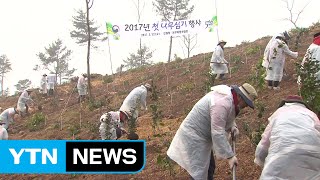 올해 첫 나무심기 행사...2월은 처음 / YTN (Yes! Top News)