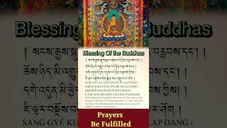 Blessing of the Buddha - Prayers be Fulfilled (Tibetan-English Prayer) #Buddhas #blessing