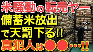 【海外の反応】米を買い占めていた転売業者が悲鳴をあげる！備蓄米放出され…大慌てで在庫を売り始める・・【にほんのチカラ】