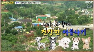 [전국시대]160722(금) 반려견과 여름나기, 업사이클링, 미니시대,  초대석 최수봉 지사장 (외2)