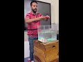 concept of buoyant force i ashu sir scienceexperiment shorts physics funny comedy