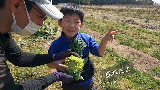 収穫体験からの簡単！ピクルス作り【無農薬野菜でつくる有機ピクルス】