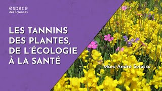 🍂 [Marc-André Selosse] Les tannins des plantes, de l’écologie à la santé