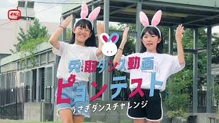 #鳥取うさぎダンス 兎取ダンス動画ピョンテスト