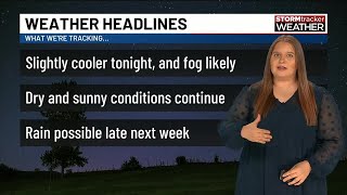 Patchy, dense fog tonight, then mostly sunny and warm on Sunday