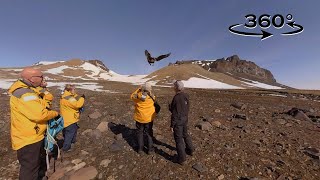 【360°動画】フランツヨーゼフ諸島（チャンプ島）鳥類の解説 - Quark Expeditions North Pole 360  bird colony on Champ Island