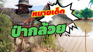 EP.339 ตกปลานิลหมายเด็ดป่ากล้วยคลองสาม#ตกปลาหน้าดิน #ตกปลานิล #fishing #fishingvideo