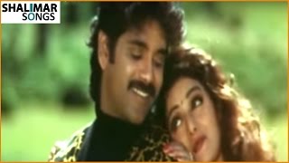 Govinda Govinda Movie || Andamaa Anduma Video Song|| Nagarjuna, Sridevi