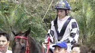 重溫-- 2012年4月14日(六) 澳門賽馬直播 (澳洲賽馬會打吡+第1-2場)