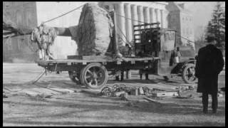 Saving the Elm Trees at Penn State