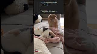 Javascript setTimeout method#coding #programming #javascript #python