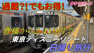 【青春18きっぷ】豊橋から2410円で東京ディズニーリゾートへ行って来ました。【過酷旅行】