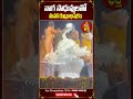 నాగ సాధువులతో మహా రుద్రాభిషేకం maharudrabhishekam abhisekham sivalinga sivaya shortsvideo