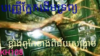 បញ្ញើក្អែកដើមទ្រព្យពិសេសខាងពិជ័យសង្រ្គាមKH108