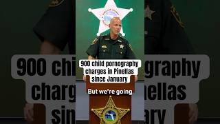 84 arrests, 900 child pornography charges in Pinellas County since January 😳 #floridasheriff